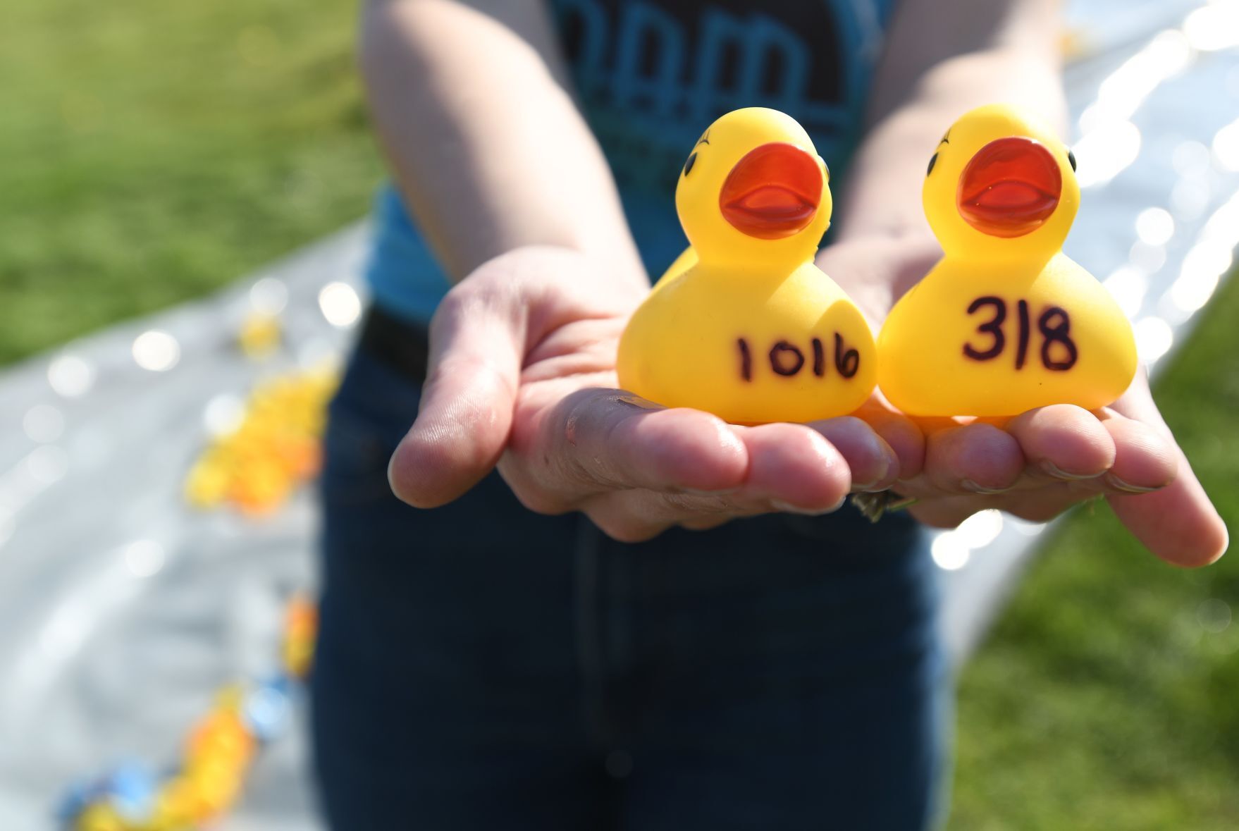 Winning Ducks